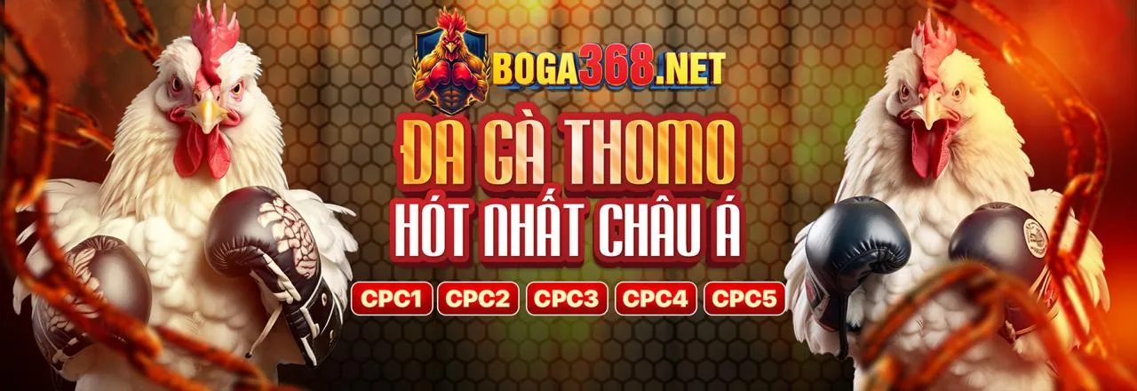 Cập nhật tin tức mới nhất từ KKWIN10